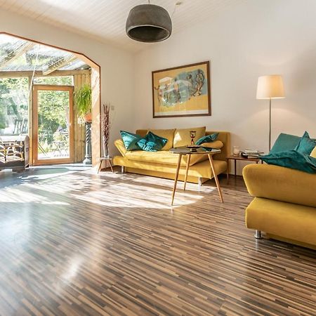 Apartment 'Entspannen Im Taunus' タウヌスシュタイン エクステリア 写真
