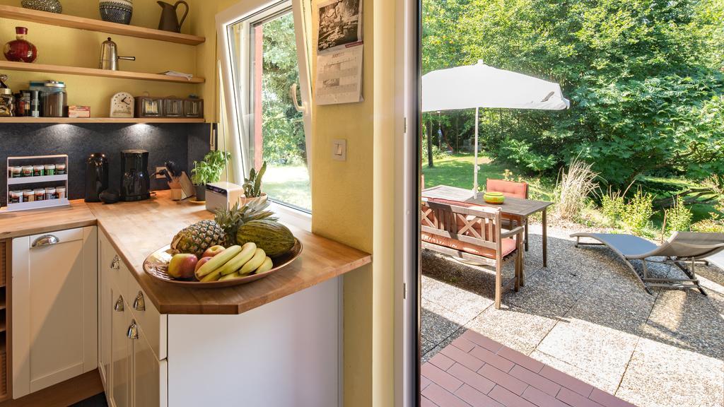 Apartment 'Entspannen Im Taunus' タウヌスシュタイン エクステリア 写真