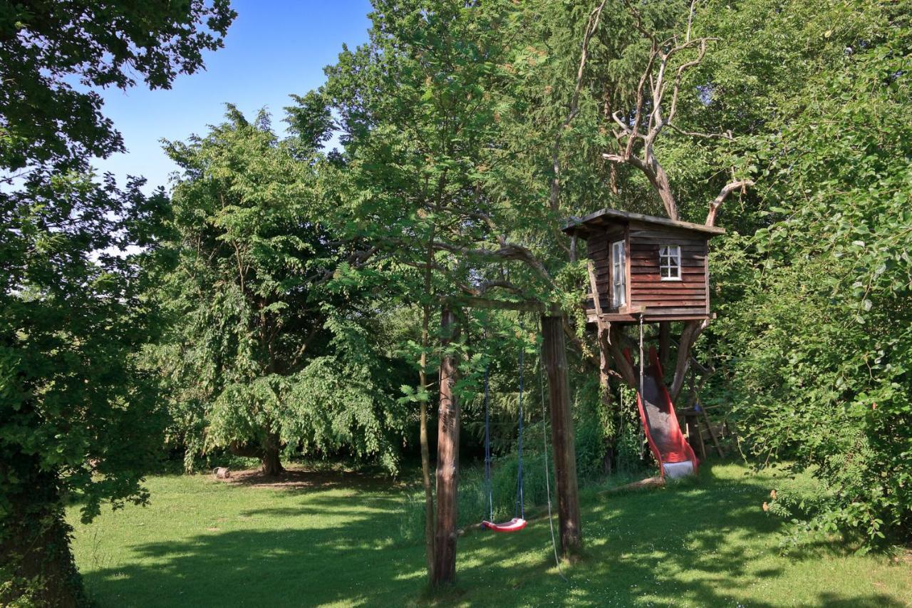 Apartment 'Entspannen Im Taunus' タウヌスシュタイン エクステリア 写真